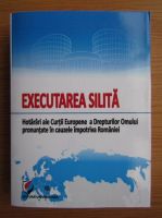 Vasile Bozesan - Executarea silita