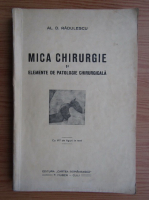 Al. D. Radulescu - Mica chirurgie si elemente de patologie chirurgicala (1934)