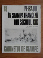 Catalina Macovei - Peisajul in stampa franceza din secolul XIX