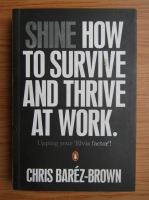 Chris Barez-Brown - Shine how to survive and thrive at work