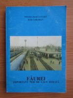 Ilie Caraman - Faurei. Important nod de cale ferata