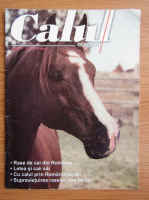 Revista Calul magazin, anul III, nr. 13