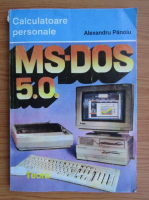 Alexandru Panoiu - MS DOS 5.0