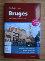 Anticariat: City Guide. Bruges