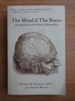 Jeffrey M. Schwartz - The mind and the brain. Neuroplasticity and the power of mental force