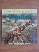 Sarah Albee - Giraffes