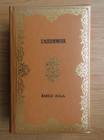 Emile Zola - L'assommoir