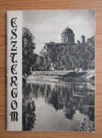 Anticariat: Esztergom. Monografie