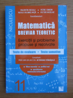 Valentin Nicula - Matematica, clasa a XI-a. Breviar teoretic