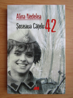 Alina Nedelea - Soseaua Catelu 42