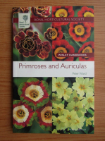 Peter Ward - Primroses and auriculas
