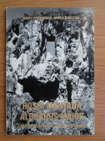 Aurel Sintimbrean - Rosia Montana-Alburnus Maior