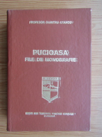 Dumitru Stancu - Pucioasa, file de monografie
