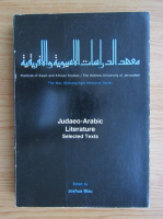 Judaeo-Arabic literature