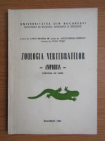 Lotus Mester - Zoologia vertebratelor. Amphibia