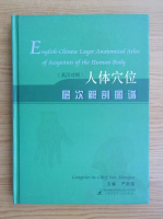 English-chinese Layer anatomical atlas of acupoints of the human body