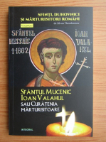 Silvian Theodorescu - Sfantul Mucenic Ioan Valahul sau curatenia marturisitoare (volumul 6)