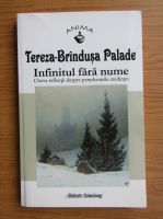 Tereza Brindusa Palade - Infinitul fara nume