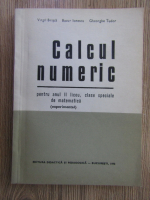 Anticariat: Virgil Brisca - Calcul numeric pentru anul II, clase speciale de matematica