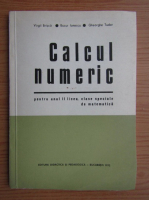 Virgil Brisca - Calcul numeric