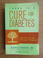 Gabriel Cousens - There is a cure for diabetes