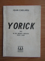 Ioan Chelaru - Yorick sau sa nu arunci sageata peste casa