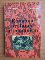 Liviu Chelcea - Romania profunda in comunism