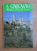 S. Gimignano. Walking among the towers
