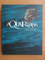 Aqua Romana. Human technique and divine force