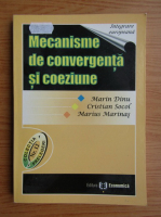 Marin Dinu - Mecanisme de convergenta si coeziune