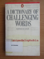 Norman W. Schur - A dictionary of challenging words