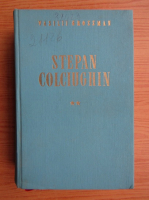 Vasili Grossman - Stepan Colciughin (volumul 2)