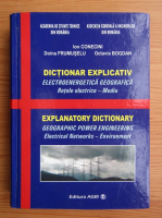 Anticariat: Ion Conecini - Dictionar explicativ. Electroenergetica geografica. Retele electrice, mediu