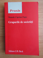 Manole Ciprian Popa - Grupurile de societati
