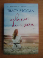 Tracy Brogan - Nebunie de-o vara