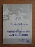 Teodor Chindea - Contributii la istoria romanilor din Giurgeul-Ciucului
