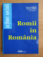 Catalin Zamfir - Romii in Romania