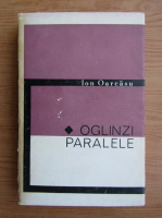 Ion Oarcasu - Oglinzi paralele 
