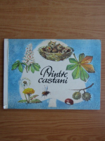 Printre castani