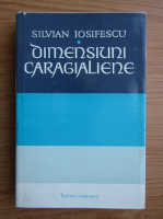 Silvian Iosifescu - Dimensiuni caragialiene