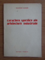 Solomon Zalman - Caractere specifice ale arhitecturii industriale