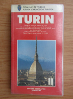 Turin (ghid de calatorie)