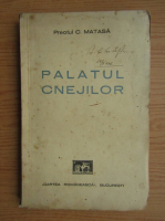 Constantin Matasa - Palatul Cnejilor (1935)