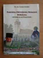 Florin Dobrei - Parohia ortodoxa romana Bobalna. Istorie si actualitate