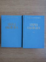 Vasili Grossman - Stepan Colciughin (2 volume)