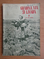 Gradina, via si livada, nr. 7, iulie 1956