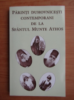 Heruvim Karambelas - Parinti Duhvnicesti Contemporani de la Sfantul Munte Athos, volumul 2
