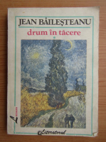 Anticariat: Jean Bailesteanu - Drum in tacere (volumul 1)