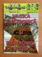 Cristian Muresanu - Muzica electronica si electronica audio