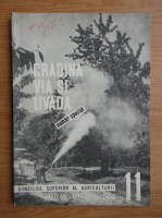 Revista Gradina, via si livada, nr. 11, noiembrie 1964